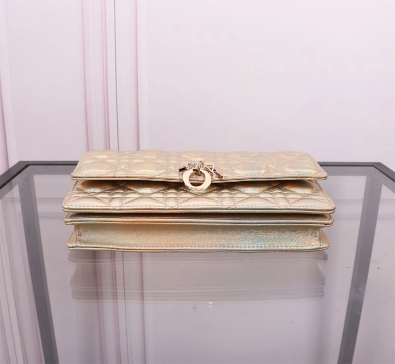 Popular Christian Dior Other Bags 70711