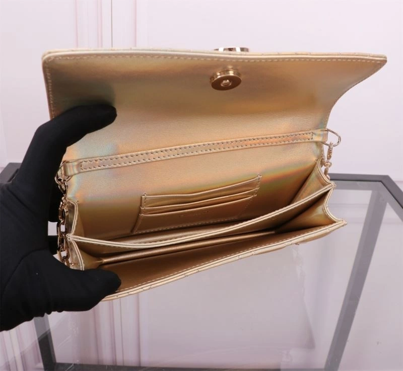 Popular Christian Dior Other Bags 70711