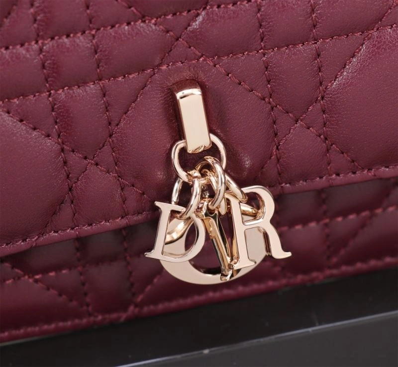 Christian Dior Other Bags TechFriendly 70710