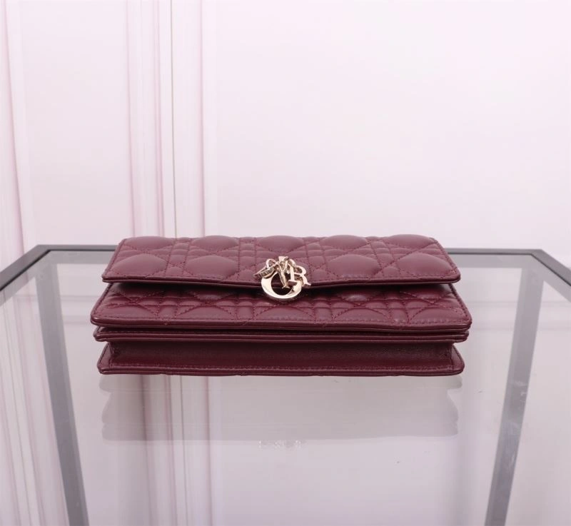 Christian Dior Other Bags TechFriendly 70710