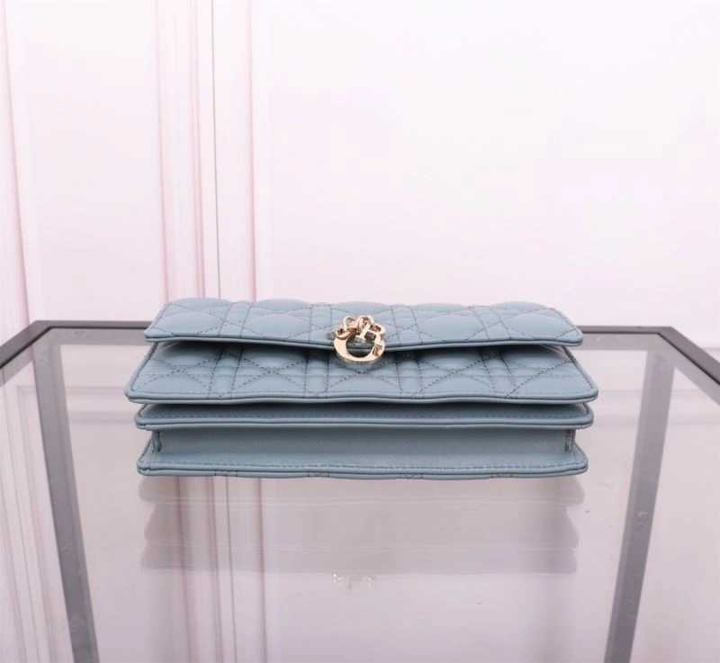 Thermal Christian Dior Other Bags 70706