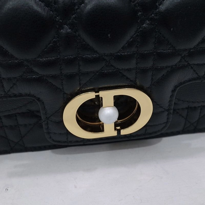 StreetReady Christian Dior Other Bags 70705