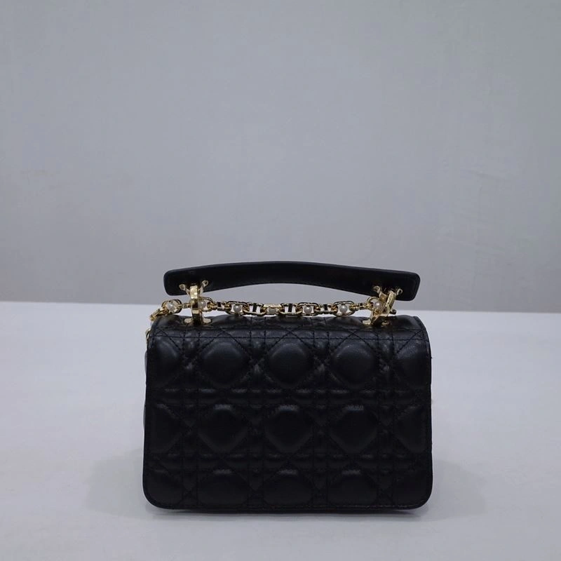 StreetReady Christian Dior Other Bags 70705