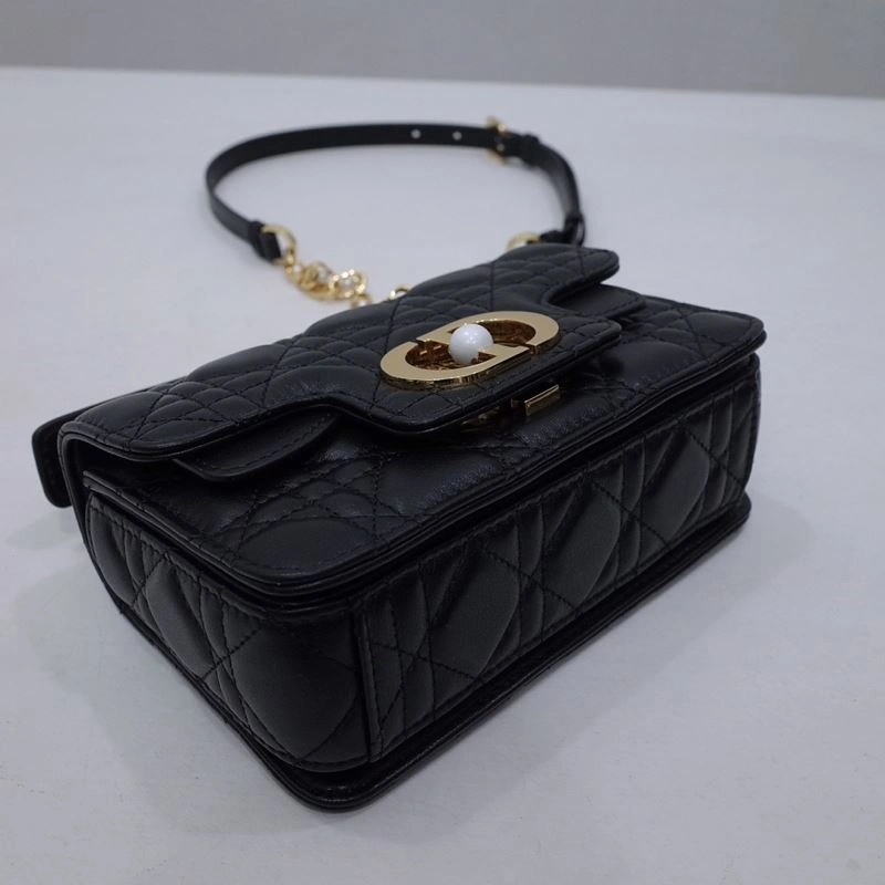 StreetReady Christian Dior Other Bags 70705
