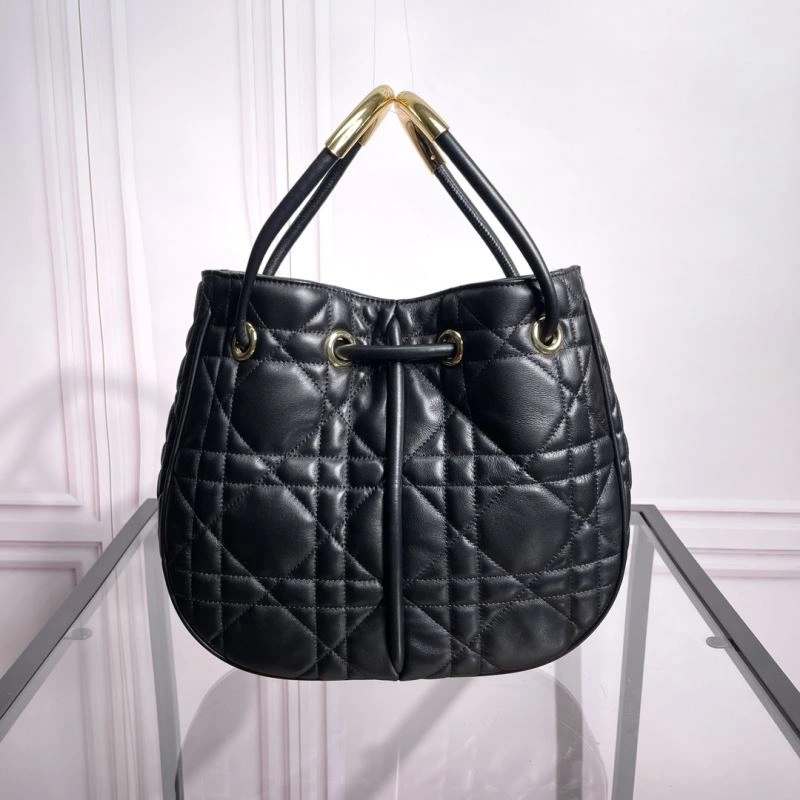 Christian Dior Other Bags GoodFit 70695