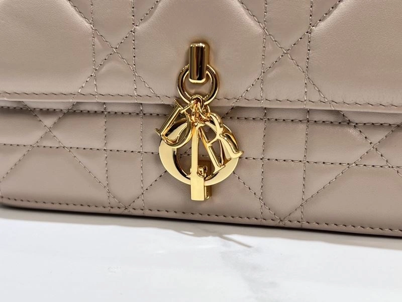 Christian Dior Other Bags Vibrant 70573