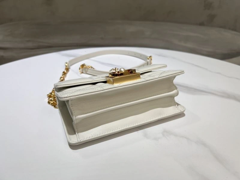 FlexibleFit Christian Dior Other Bags 70571