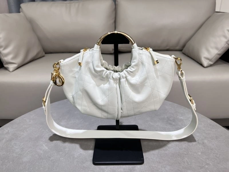 FastDry Christian Dior Other Bags 64019