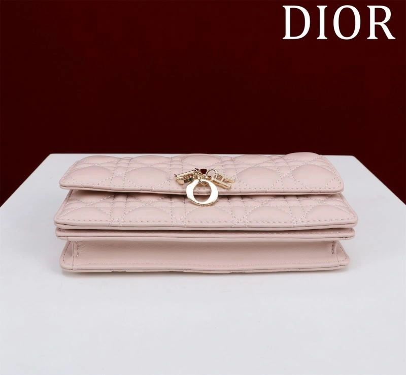 WaterResistant Christian Dior Other Bags 64016