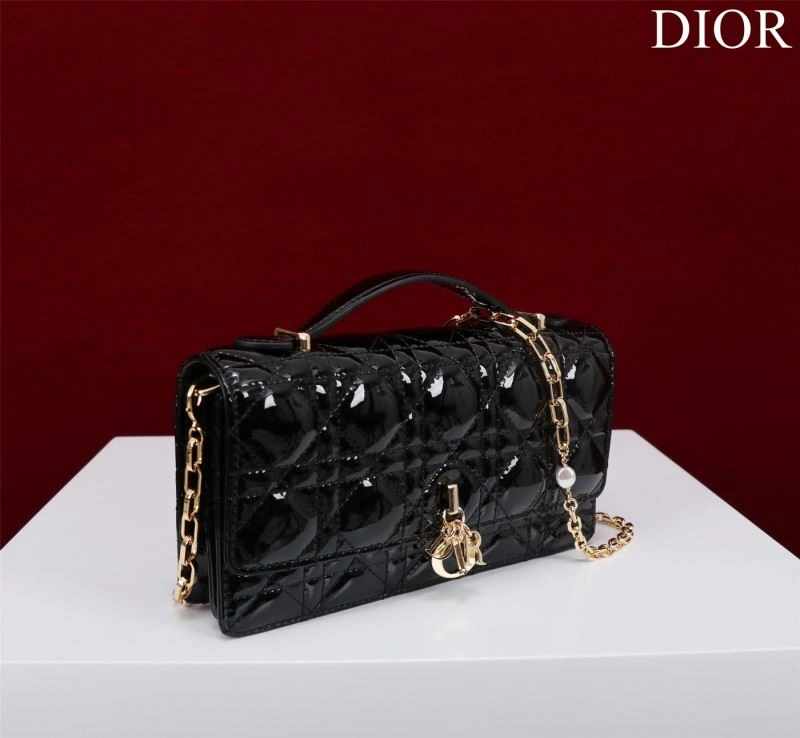 Resilient Christian Dior Other Bags 63964