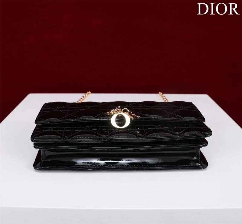 Resilient Christian Dior Other Bags 63964