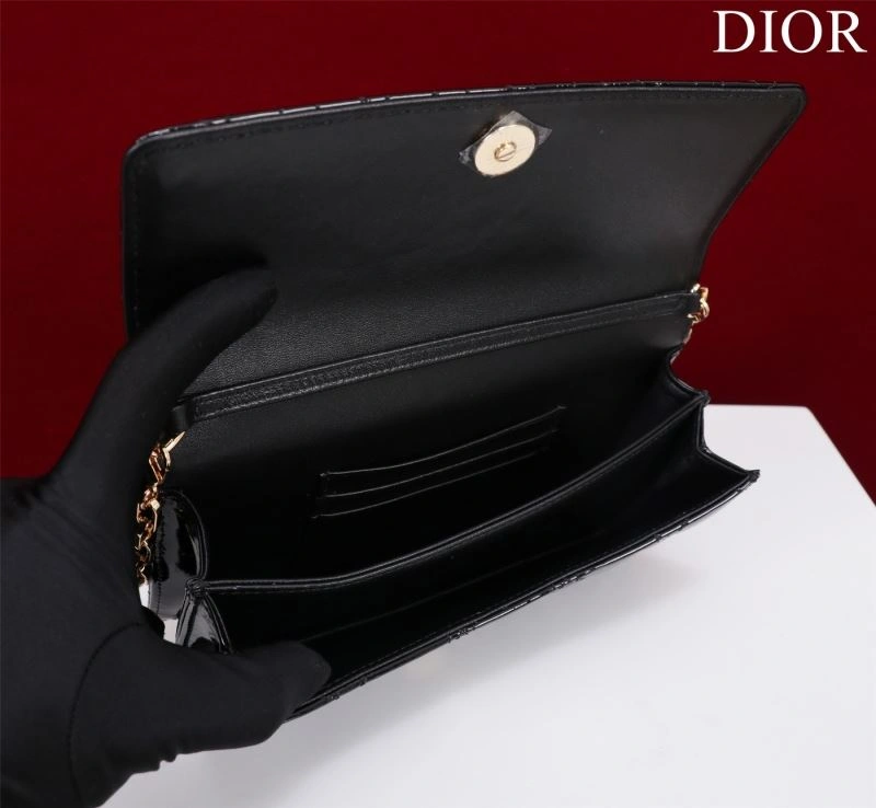 Resilient Christian Dior Other Bags 63964