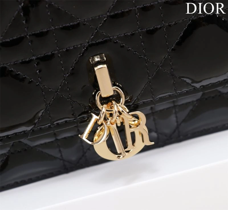 Resilient Christian Dior Other Bags 63964