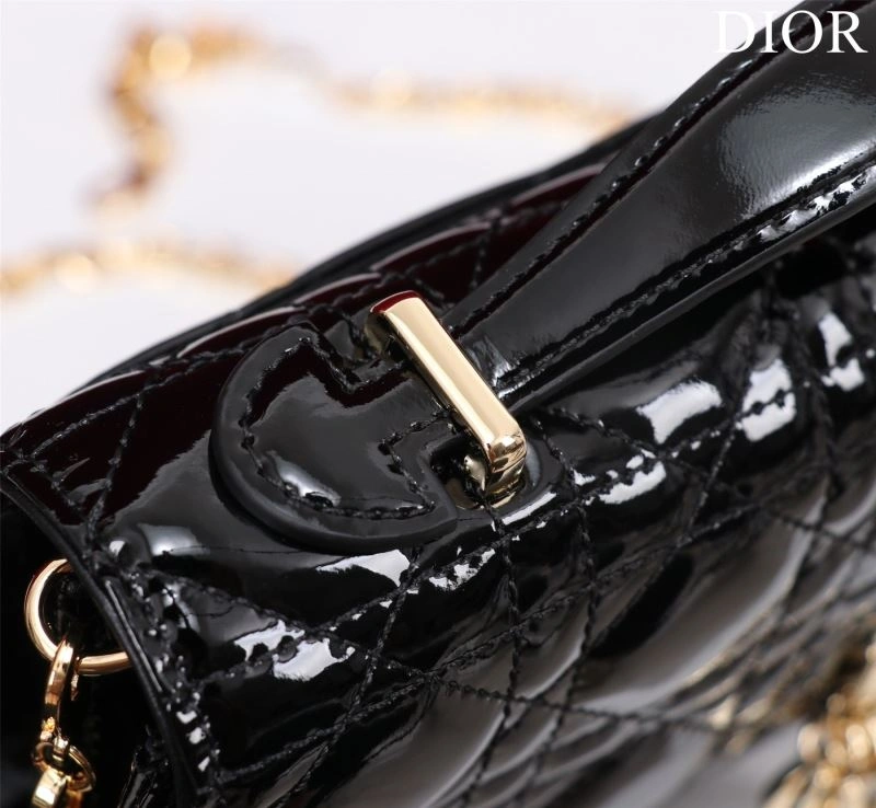 Resilient Christian Dior Other Bags 63964
