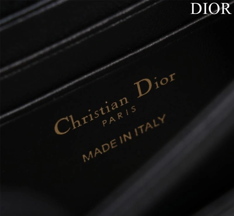 Resilient Christian Dior Other Bags 63964
