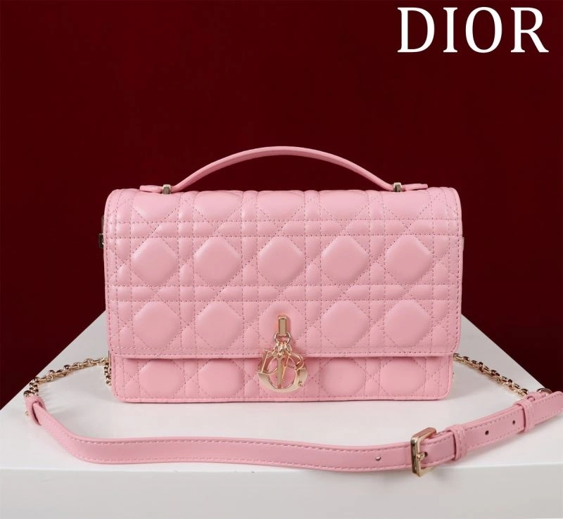 Resilient Christian Dior Other Bags 64001
