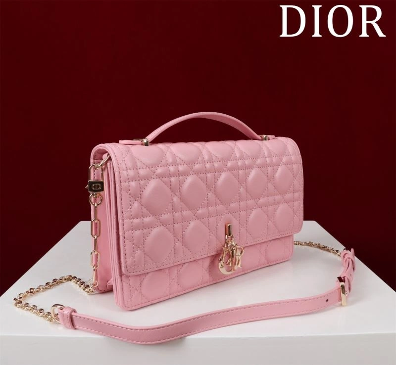 Resilient Christian Dior Other Bags 64001
