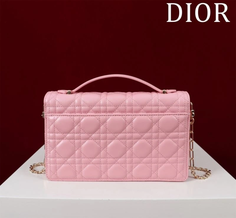 Resilient Christian Dior Other Bags 64001