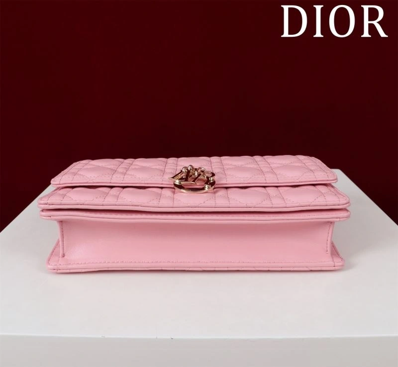 Resilient Christian Dior Other Bags 64001