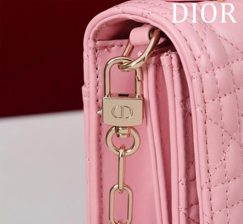 Resilient Christian Dior Other Bags 64001