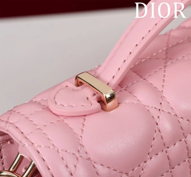 Resilient Christian Dior Other Bags 64001