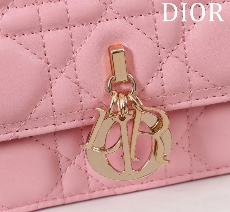 Resilient Christian Dior Other Bags 64001