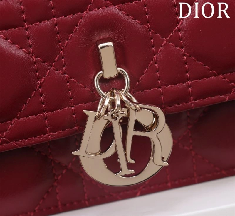 Christian Dior Other Bags Vibrant 63957