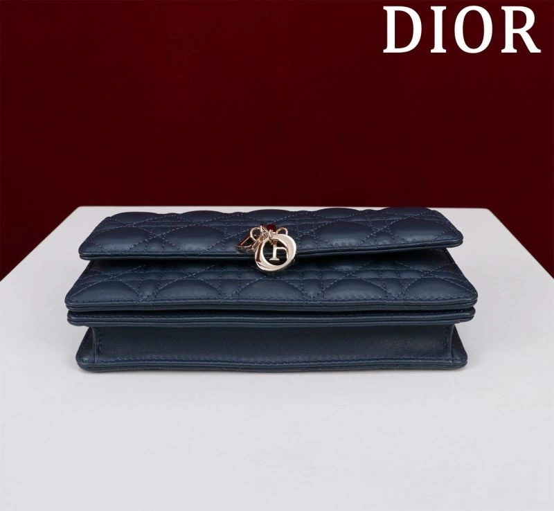 TechFriendly Christian Dior Other Bags 63946