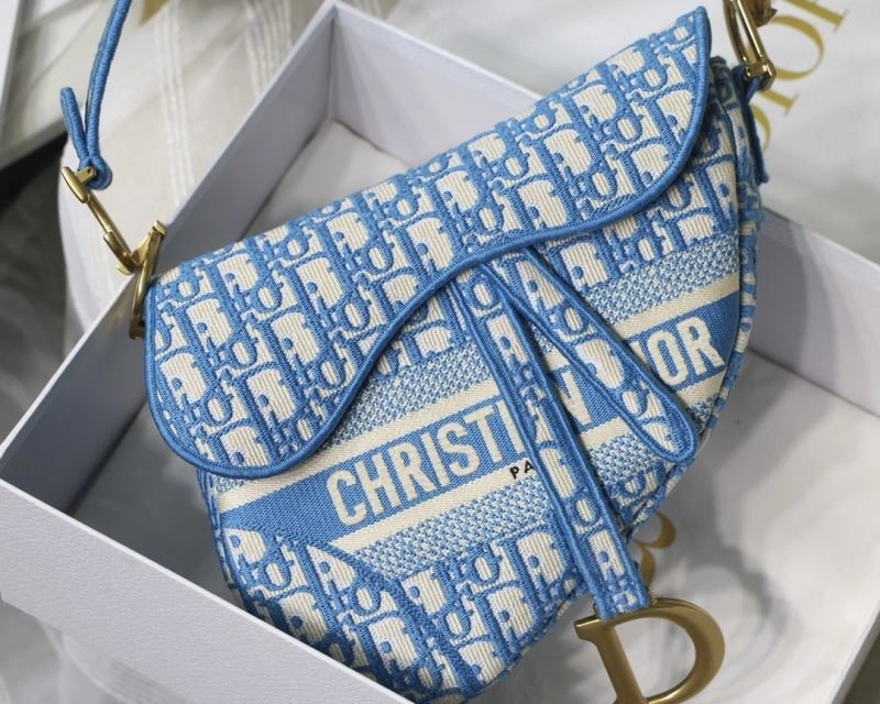 Christian Dior Saddle Bags ZipUp 76252