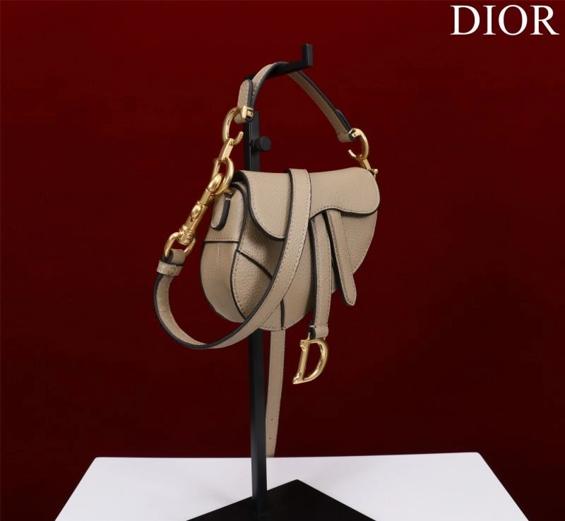 Christian Dior Saddle Bags Versatile 76243