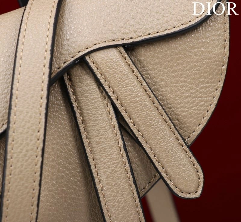 Christian Dior Saddle Bags Versatile 76243