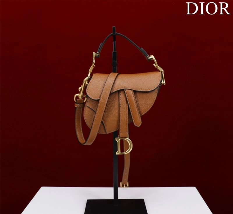 Efficient Christian Dior Saddle Bags 76257
