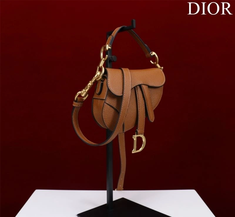 Efficient Christian Dior Saddle Bags 76257