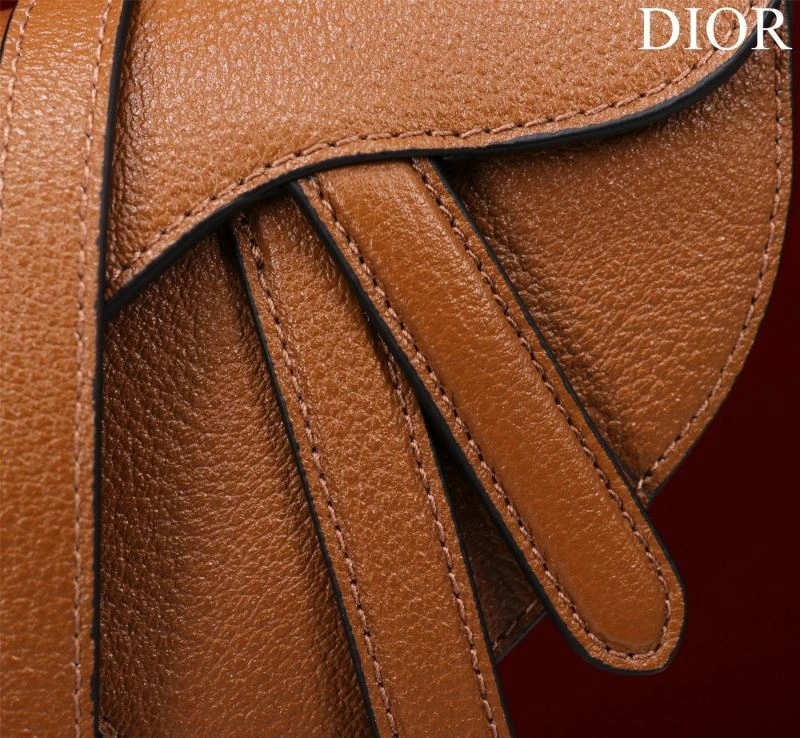 Efficient Christian Dior Saddle Bags 76257