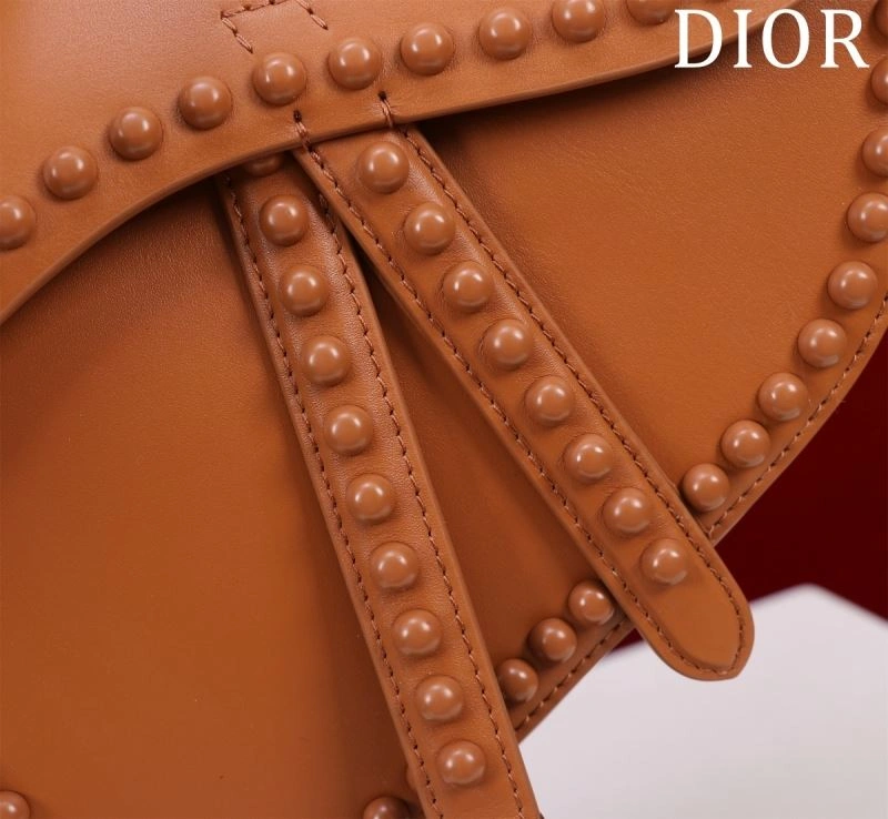 Christian Dior Saddle Bags EyeCatching 75712