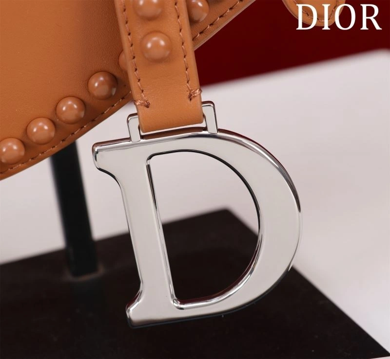 Christian Dior Saddle Bags EyeCatching 75712