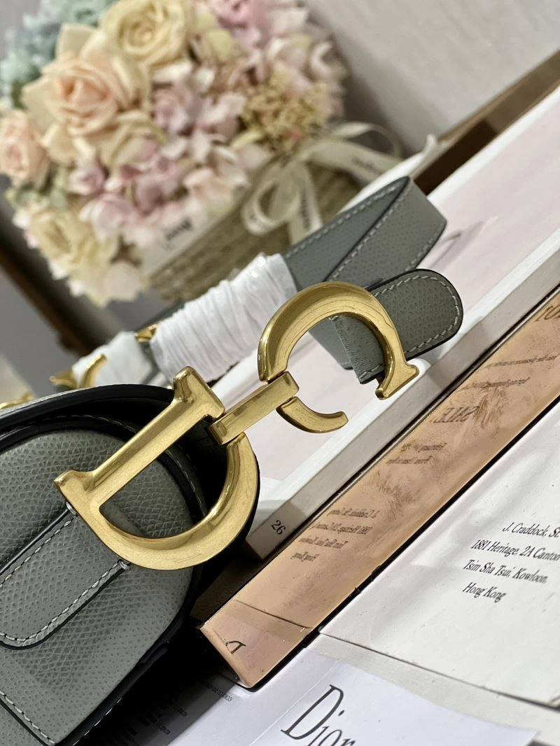 Christian Dior Saddle Bags Trendsetting 75685