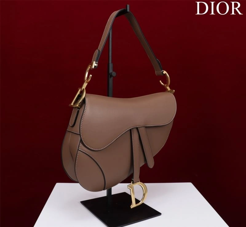 TopPick Christian Dior Saddle Bags 75671