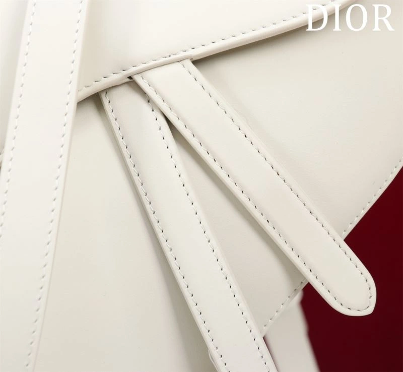 Christian Dior Saddle Bags WrinkleFree 75666