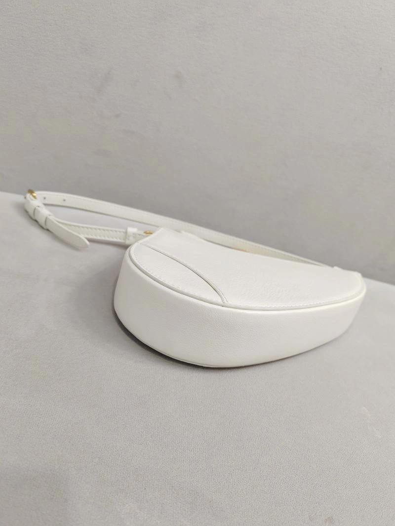 SmoothTexture Christian Dior Saddle Bags 73927