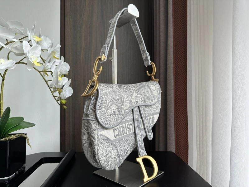 Christian Dior Saddle Bags Resilient 70602