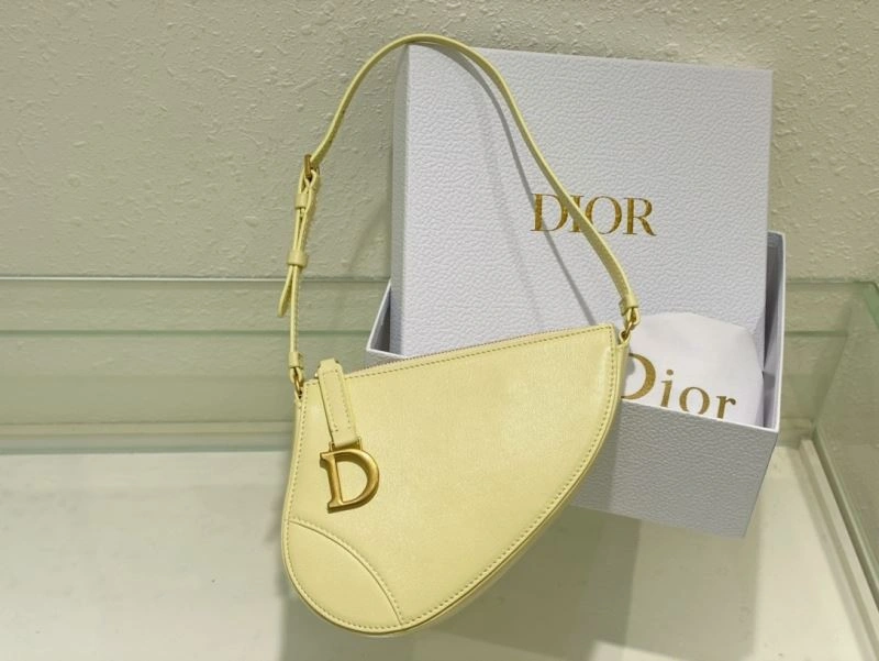 EyeCatching Christian Dior Saddle Bags 70562