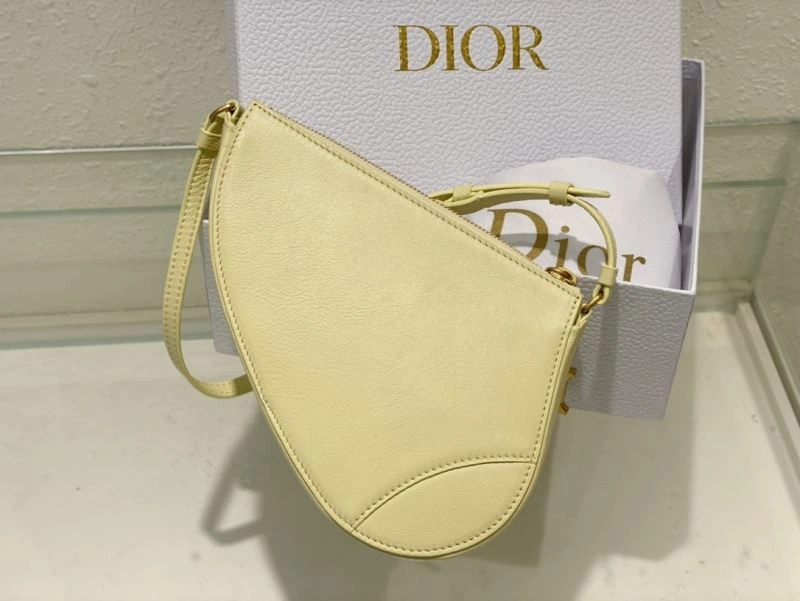 EyeCatching Christian Dior Saddle Bags 70562