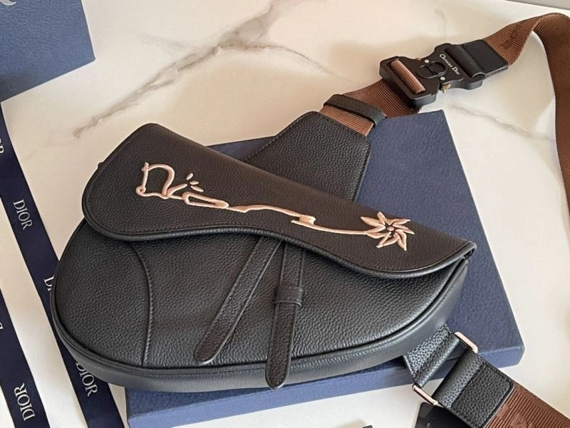 TechFriendly Christian Dior Saddle Bags 70550
