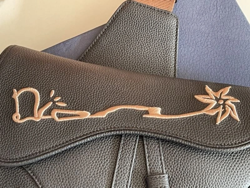 TechFriendly Christian Dior Saddle Bags 70550