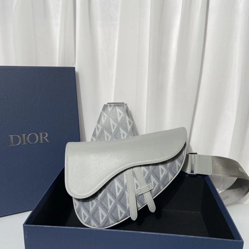 Colorful Christian Dior Saddle Bags 70539