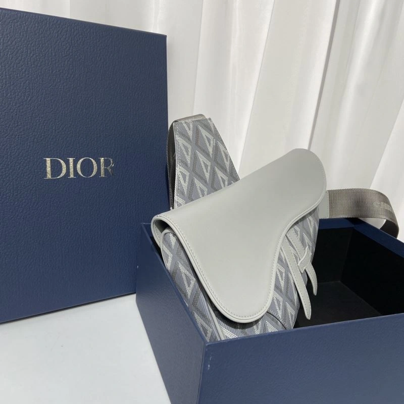 Colorful Christian Dior Saddle Bags 70539