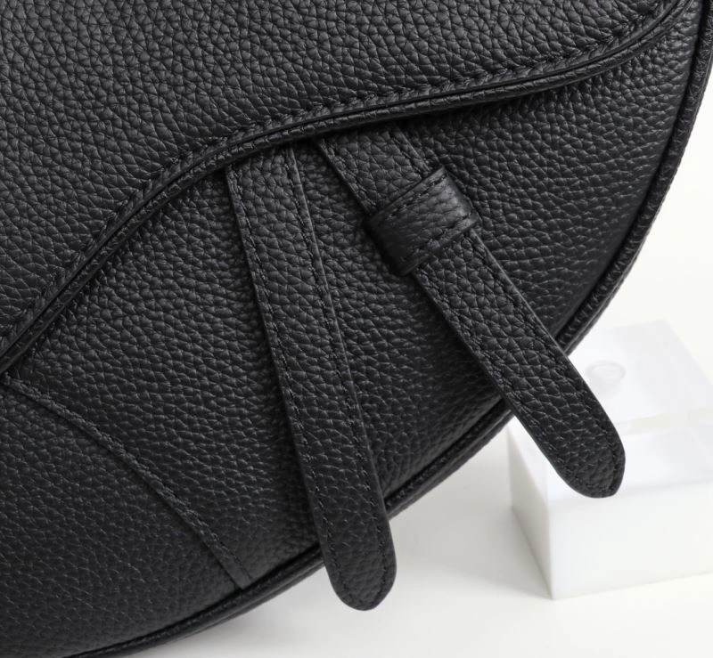 Christian Dior Saddle Bags FreshLook 74299