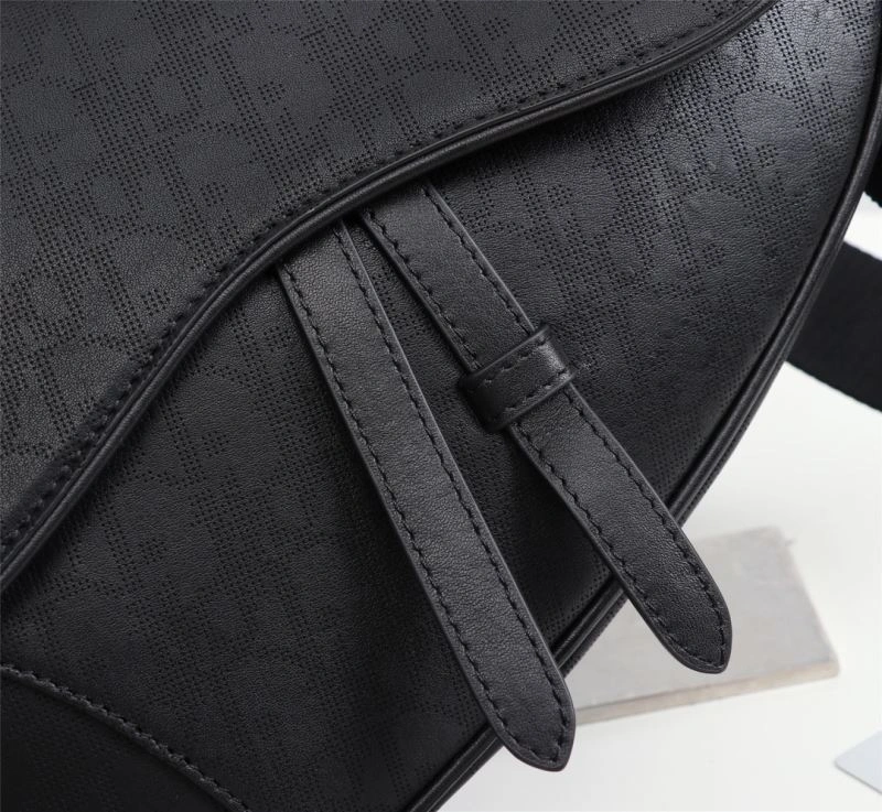 Christian Dior Saddle Bags SmoothTexture 74208