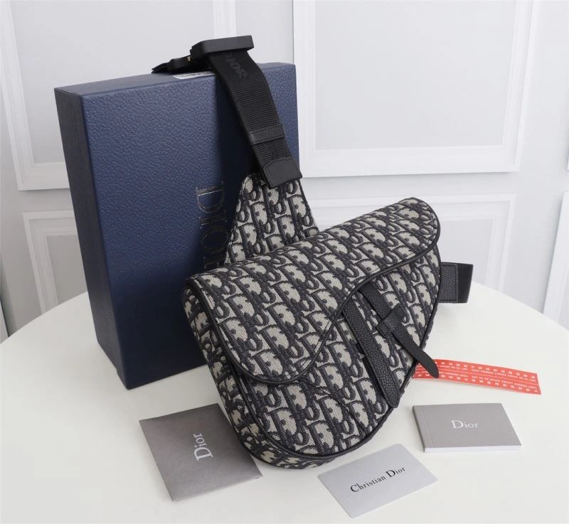 DailyWear Christian Dior Saddle Bags 74200